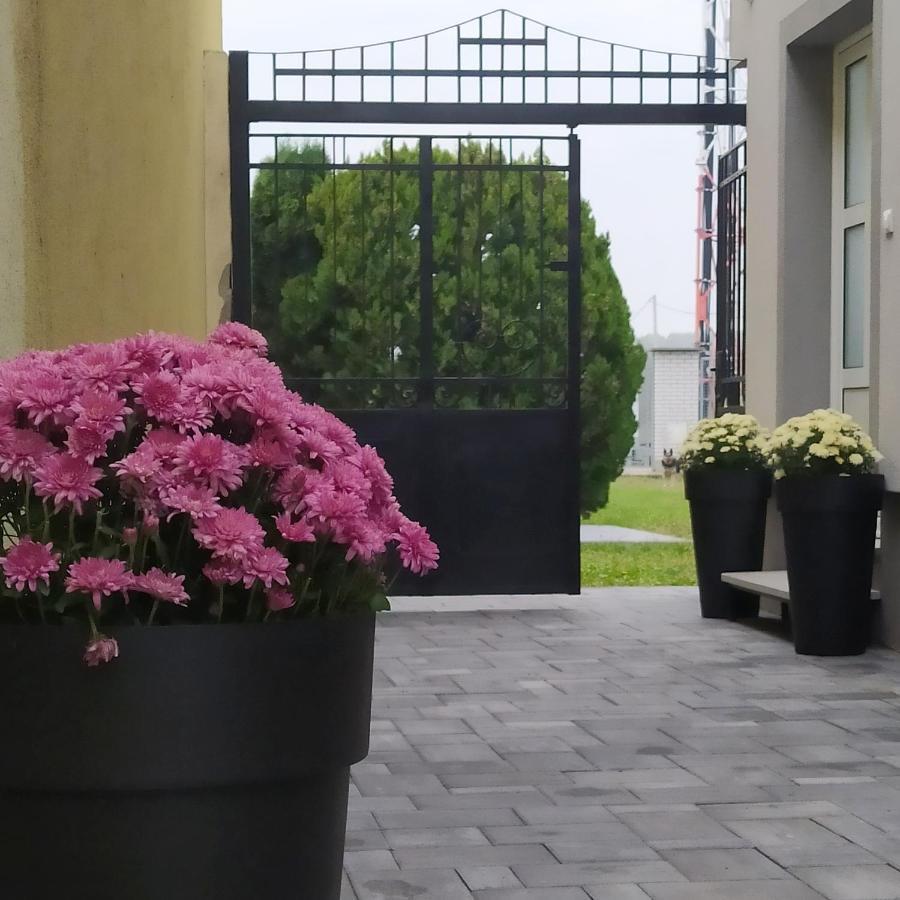 Villa Ponte Pančevo Exteriér fotografie